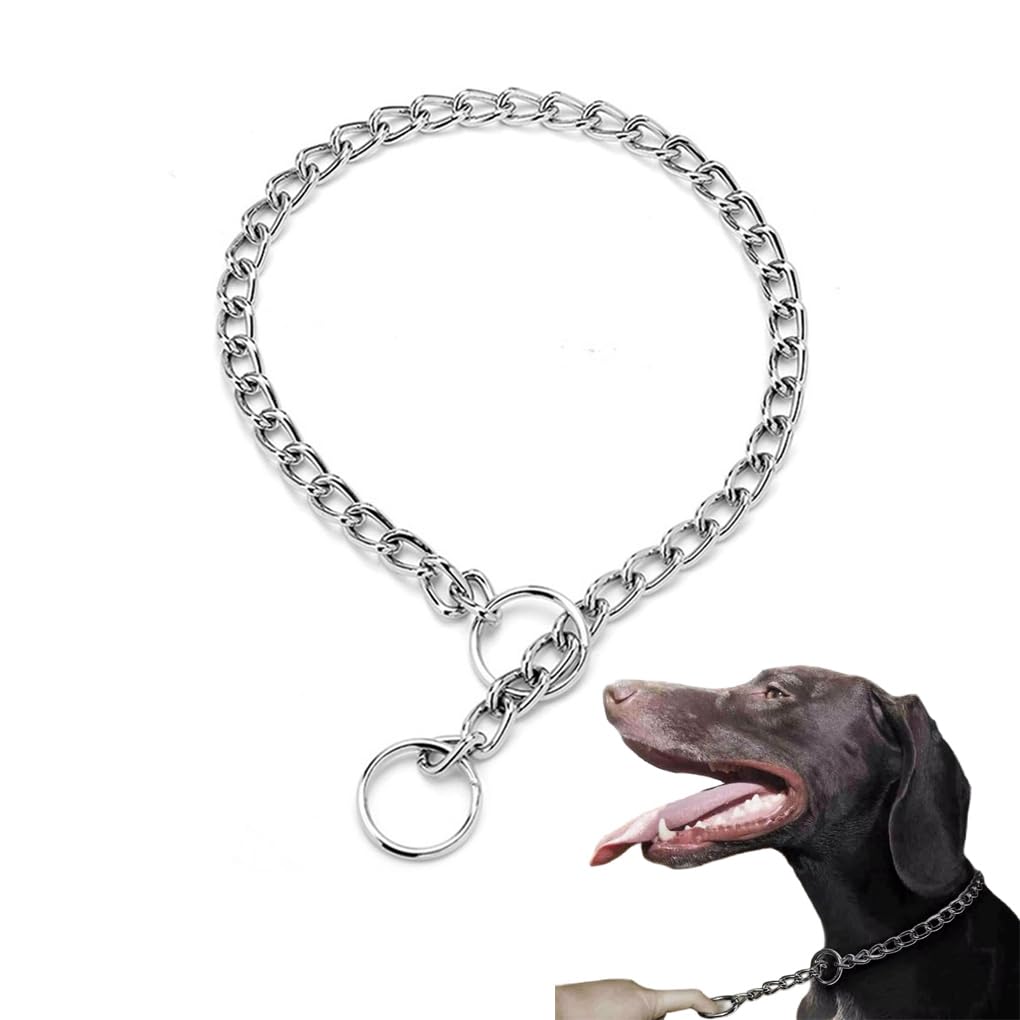 Dog Chain Collars Metal Choke Link Dog Collar Choker Training Heavy Duty Slip Martingale Puppy Collars for XXS XS Small Medium Large Big XL Breed DogsSilver S
